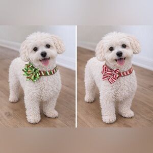 Festive Dog Collar - Green and Red